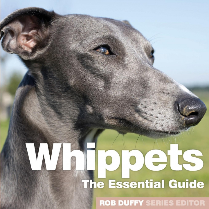 Book Whippets Rob Duffy