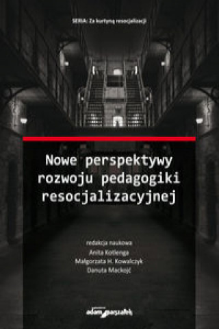 Carte Nowe perspektywy rozwoju pedagogiki resocjalizacyjnej (red.) Kotlenga Anita