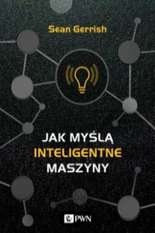 Book Jak myślą inteligentne maszyny Fierek Filip