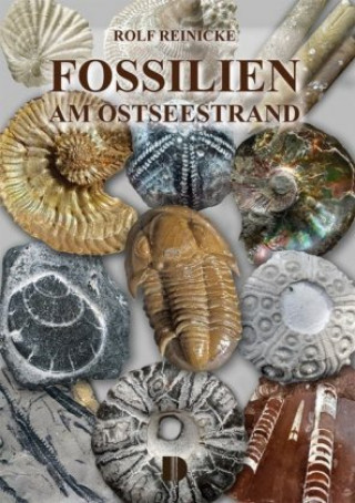 Kniha Fossilien am Ostseestrand 