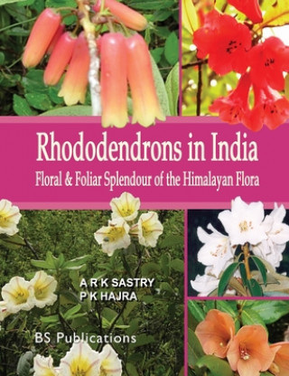 Kniha Rhododendrons in India P K Hajra