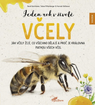 Book Jeden rok v životě včely David Gerstmeier