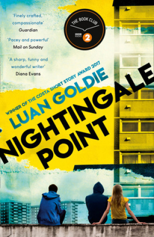 Buch Nightingale Point Luan Goldie