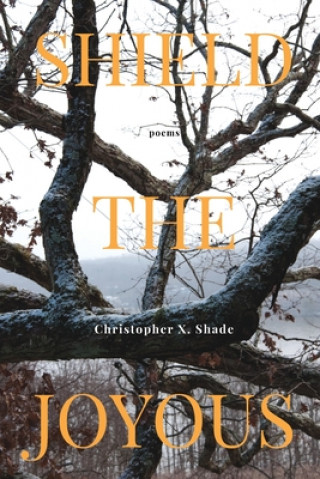 Buch Shield the Joyous CHRISTOPHER X SHADE