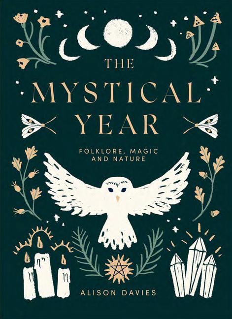 Knjiga Mystical Year DAVIES  ALISON