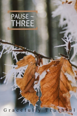 Book Pause ~ 3 Gracefully Truthful