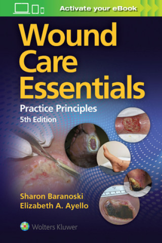 Kniha Wound Care Essentials 