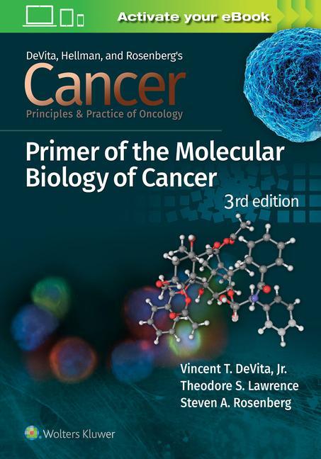 Könyv Cancer: Principles and Practice of Oncology Primer of Molecular Biology in Cancer DeVita
