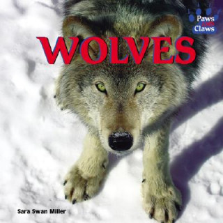 Knjiga Wolves Sara Swan Miller