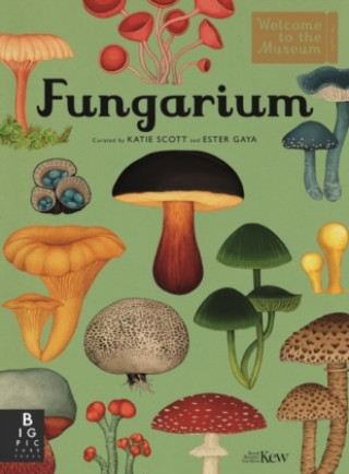 Kniha Fungarium 