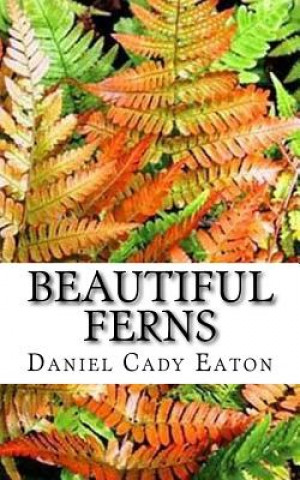 Carte Beautiful Ferns Daniel Cady Eaton