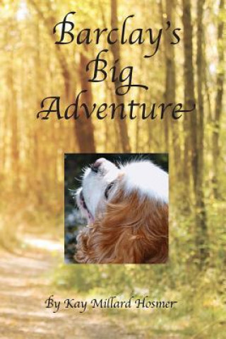 Carte Barclay's Big Adventure Kay Millard Hosmer