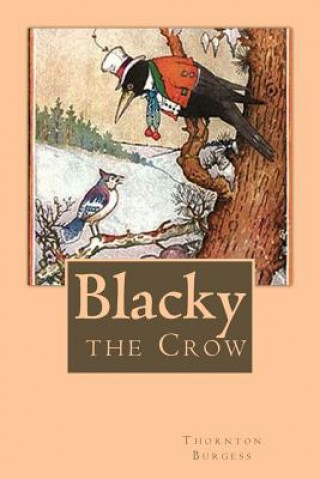 Carte Blacky the Crow Thornton W Burgess