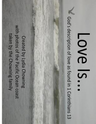 Książka Love is....: God's description of love from 1 Corinthians 13 Lydia Chowning