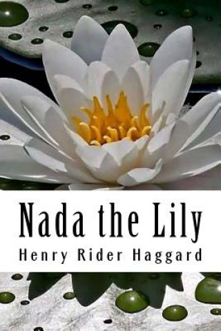 Kniha Nada the Lily H Rider Haggard