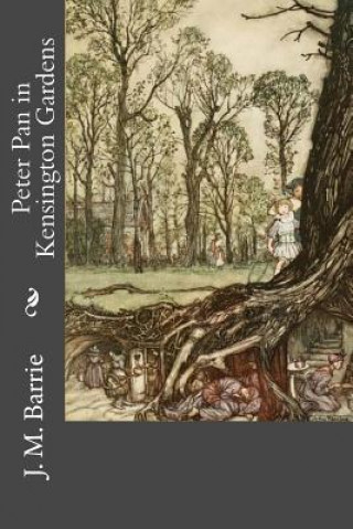 Livre Peter Pan in Kensington Gardens James Matthew Barrie