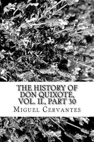 Boek The History of Don Quixote, Vol. II., Part 30 Miguel de Cervantes
