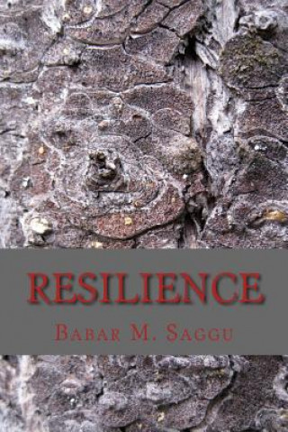 Knjiga Resilience Babar M Saggu