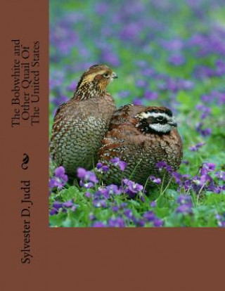 Książka The Bobwhite and Other Quail Of The United States Sylvester D Judd