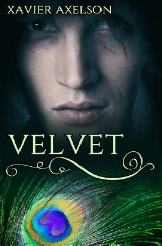 Knjiga Velvet Xavier Axelson