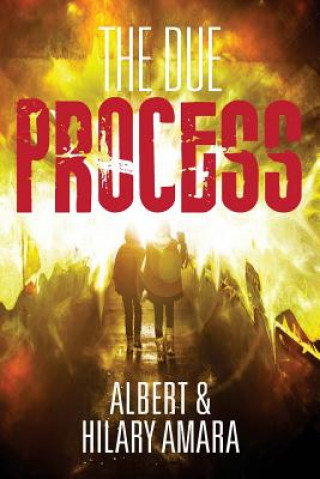 Knjiga The Due Process Albert &amp; Hilary Amara