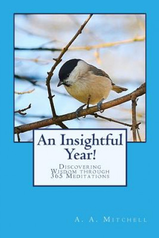 Knjiga An Insightful Year!: Discovering Wisdom through 365 Meditations A A Mitchell