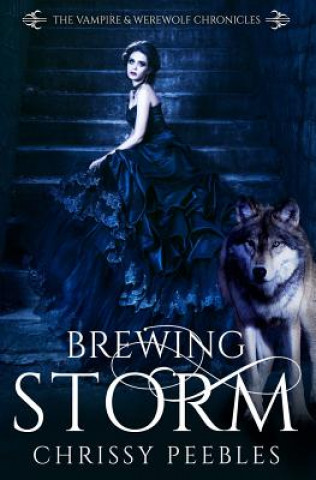 Knjiga Brewing Storm - Book 5 Chrissy Peebles