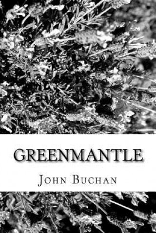 Knjiga Greenmantle John Buchan
