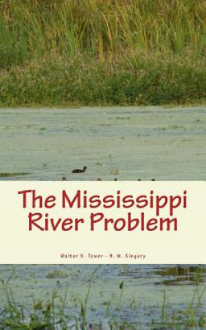 Knjiga The Mississippi River Problem Walter S Tower