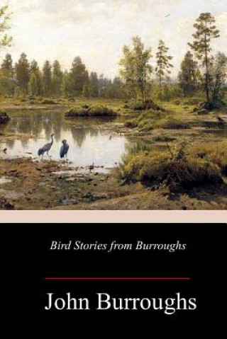 Livre Bird Stories from Burroughs John Burroughs