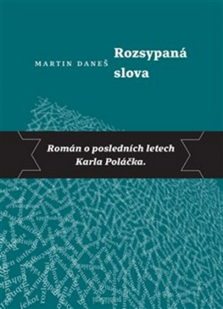 Book Rozsypaná slova Martin Daneš