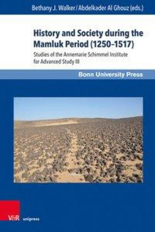 Libro History and Society during the Mamluk Period (1250-1517) Abdelkader Al Ghouz