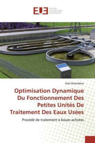 Knjiga Optimisation Dynamique Du Fonctionnement Des Petites Unites De Traitement Des Eaux Usees Diab Mokeddem