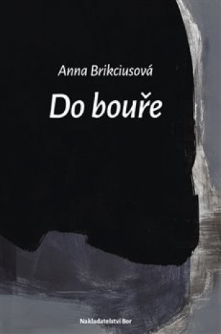 Book Do bouře Anna Brikciusová