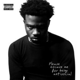 Audio Please Excuse Me For Being Antisocial 