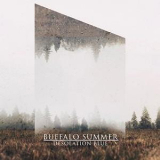 Audio Desolation Blue Buffalo Summer