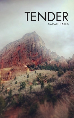 Knjiga Tender Sarah Bates