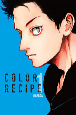 Kniha Color Recipe 1 Harada