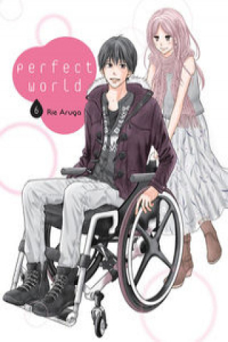 Kniha Perfect World #06 Rie Aruga