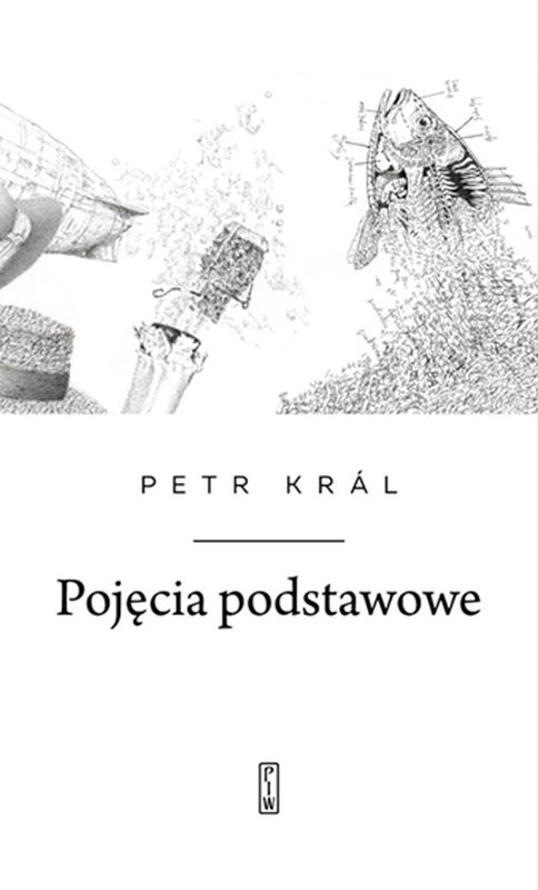 Kniha Pojęcia podstawowe Král Petr