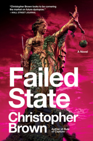 Book Failed State Christopher Brown