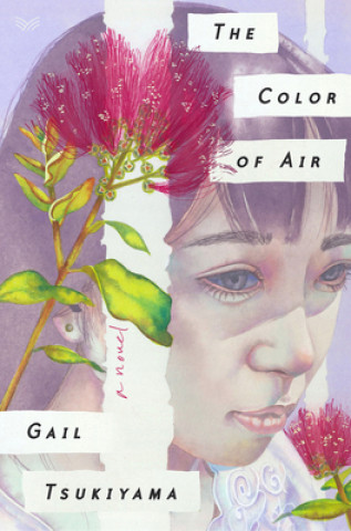 Boek Color of Air Tsukiyama