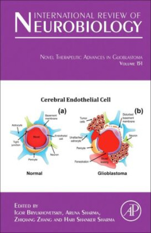 Könyv Novel Therapeutic Advances in Glioblastoma Igor Bryukhovetskiy