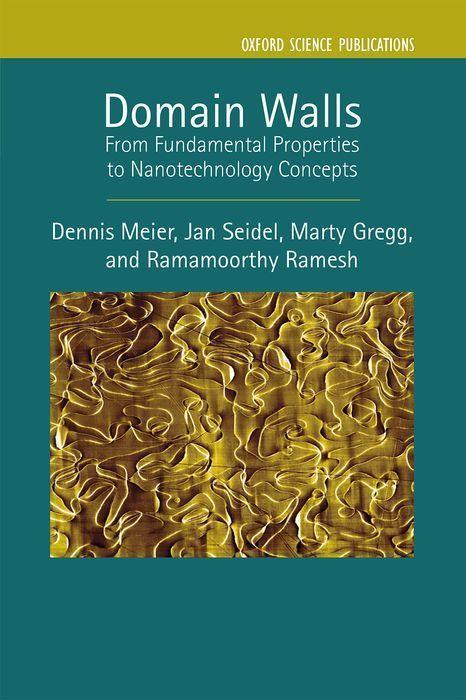 Könyv Domain Walls Dennis Meier