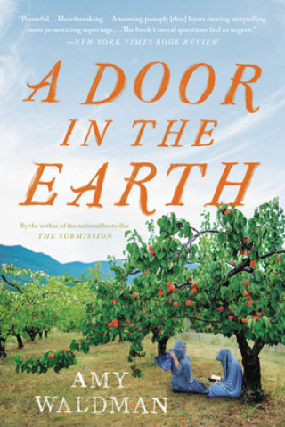 Livro Door in the Earth Waldman