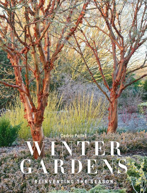 Książka Winter Gardens 