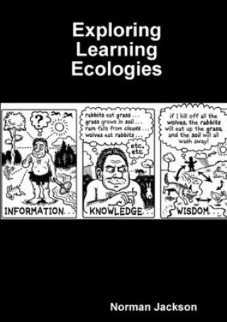 Kniha Exploring Learning Ecologies 