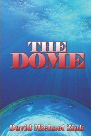 Boek Dome David Michael Zink