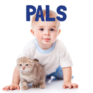 Buch Pals Meyers Stephanie