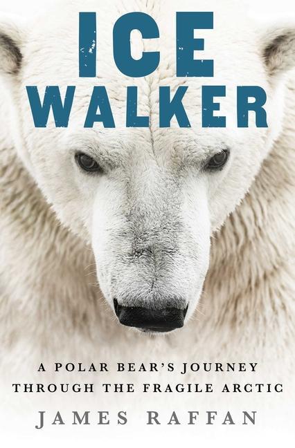 Kniha Ice Walker: A Polar Bear's Journey Through the Fragile Arctic 